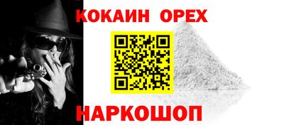 гидра Будённовск