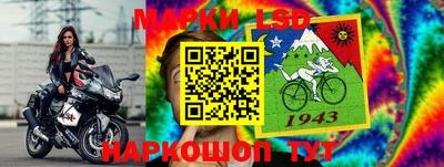 гидра Будённовск