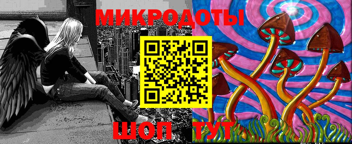 Псилоцибиновые грибы MAGIC MUSHROOMS Осинники